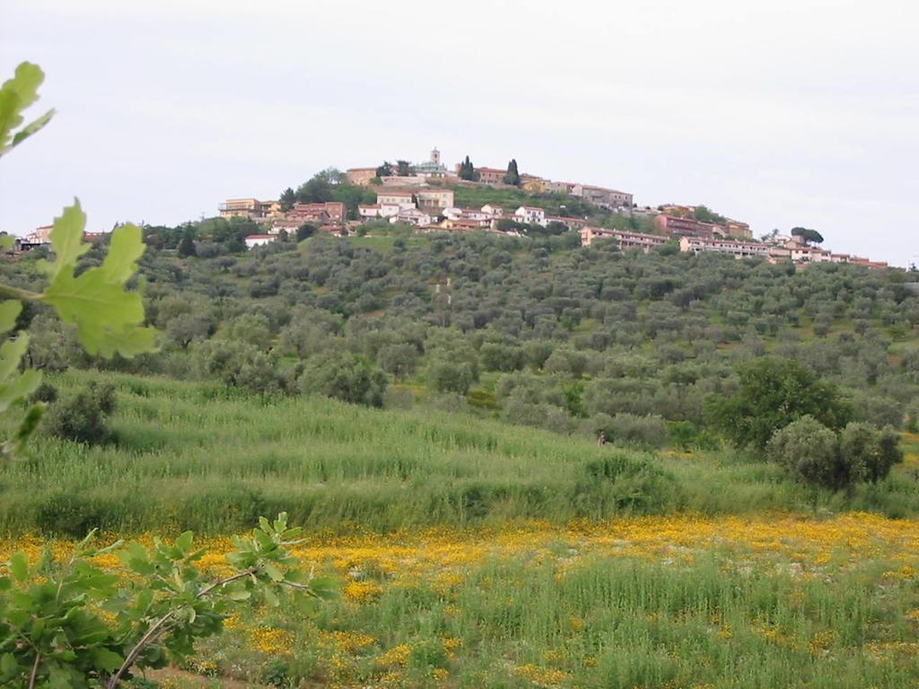 Agriturismo Vigna Mai Мальяно-ін-Тоскана Екстер'єр фото