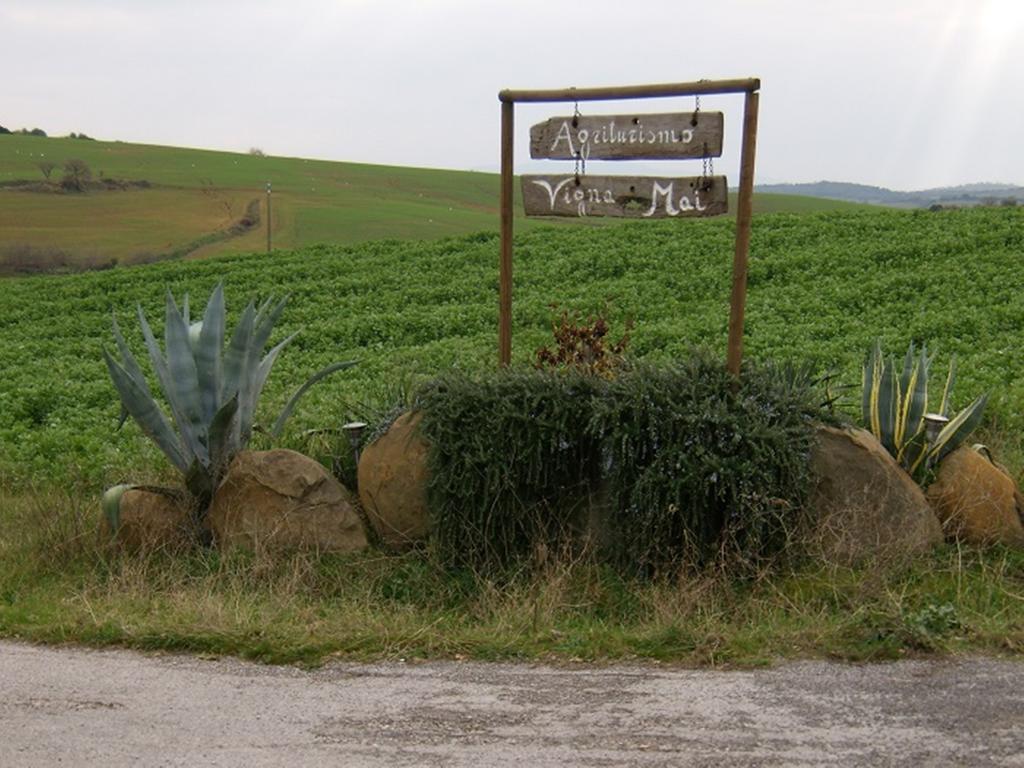 Agriturismo Vigna Mai Мальяно-ін-Тоскана Екстер'єр фото